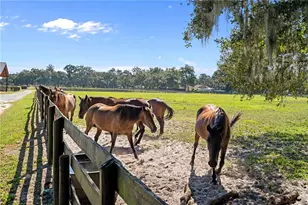 17454 S Hwy 475, Summerfield, FL 34491 - Photo 56