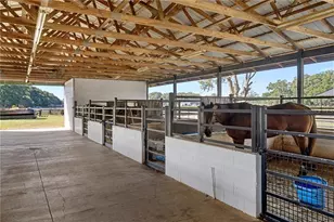 17454 S Hwy 475, Summerfield, FL 34491 - Photo 16