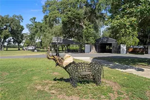 17454 S Hwy 475, Summerfield, FL 34491 - Photo 22
