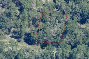 841 E Toledo Dr, Citrus Springs, FL 34434 - Photo 1