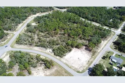 10429 N G Martinelli Boulevard, Citrus Springs, FL 34433 - Photo 6