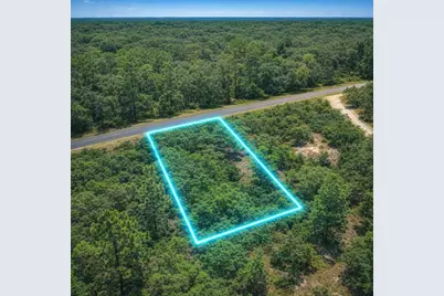 0 SE 133rd Ave Rainbow Lakes Est Avenue, Dunnellon, FL 34431 - Photo 1