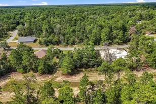 6 Dianthus Ct, Homosassa, FL 34446 - Photo 44