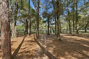 3 Carry Back Rd, Ocala, FL 34482 - Photo 64