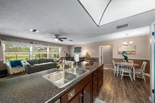 33 Bumelia Ct, Homosassa, FL 34446 - Photo 46