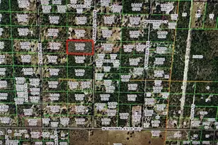 6348 S Canna Lily Ave, Homosassa, FL 34446 - Photo 1