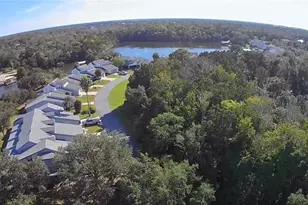 11035 W Harbor Watch Loop, Crystal River, FL 34428 - Photo 36