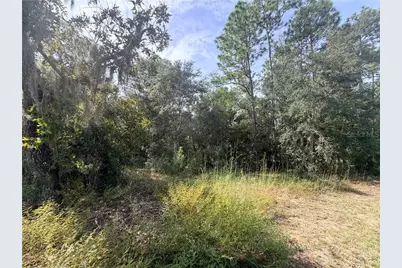 5066 E Anna Jo Drive, Inverness, FL 34452 - Photo 1