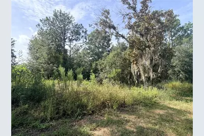 5066 E Anna Jo Drive, Inverness, FL 34452 - Photo 2