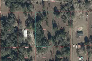 00 NE 85th Terrace, Bronson, FL 32621 - Photo 1