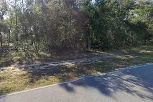 5540 Co Rd 352, Keystone Heights, FL 32656 - Photo 1