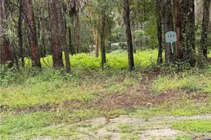 143 N Schoolcraft Dr, Inglis, FL 34449 - Photo 1