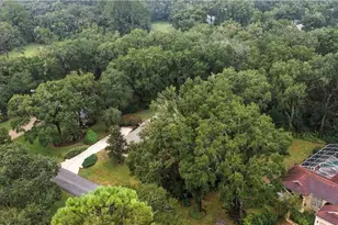 19044 SW 93rd Loop, Dunnellon, FL 34432 - Photo 40
