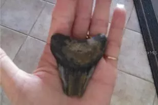 1760 Gulf Blvd, Englewood, FL 34223 - Photo 40