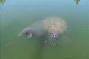 1760 Gulf Blvd, Englewood, FL 34223 - Photo 44