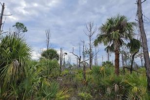 8228 Leafy Way, Port Charlotte, FL 33981 - Photo 1