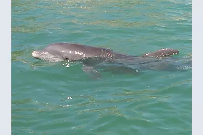 1325 Holiday Drive, Englewood, FL 34223 - Photo 20