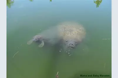 1325 Holiday Drive, Englewood, FL 34223 - Photo 22