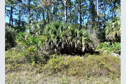 Daphne Road, North Port, FL 34288 - Photo 1