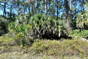 Daphne Rd, North Port, FL 34288 - Photo 1