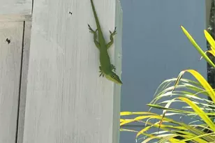 9526 Jolly Roger Trail, Placida, FL 33946 - Photo 48