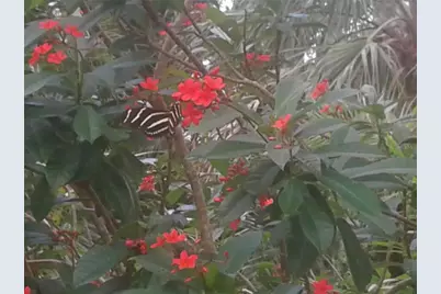 249 Hoffer Street, Port Charlotte, FL 33953 - Photo 8