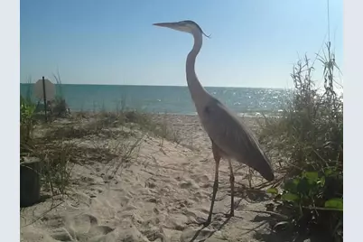 1820 Gulf Boulevard, Englewood, FL 34223 - Photo 20