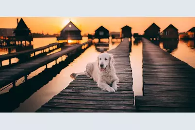 4198 Gardner Drive, Port Charlotte, FL 33952 - Photo 98