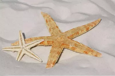 4198 Gardner Drive, Port Charlotte, FL 33952 - Photo 74