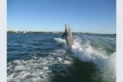 4198 Gardner Drive, Port Charlotte, FL 33952 - Photo 100