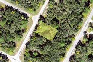 1236 Miliken Terrace, Port Charlotte, FL 33953 - Photo 1