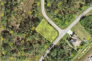 14783 Rothschild Ave, Port Charlotte, FL 33953 - Photo 1