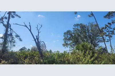 4163 Hollybrook Street, Port Charlotte, FL 33981 - Photo 4