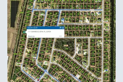 111 Bamboo Drive, Port Charlotte, FL 33954 - Photo 6