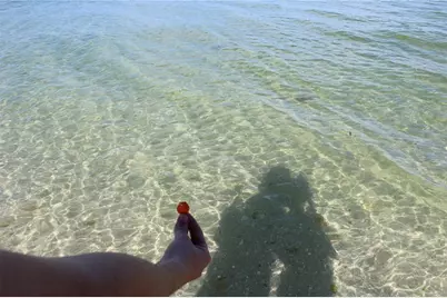 171 Kettle Harbor Drive, Placida, FL 33946 - Photo 16