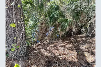 11417 Claggett Avenue, Port Charlotte, FL 33981 - Photo 14