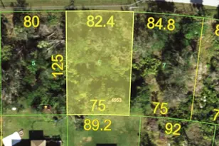 14379 San Domingo Blvd, Port Charlotte, FL 33981 - Photo 1