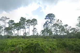 427 Hanscom St, Port Charlotte, FL 33953 - Photo 1