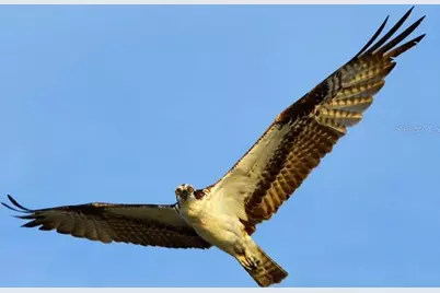 360 S Gulf Boulevard, Placida, FL 33946 - Photo 58