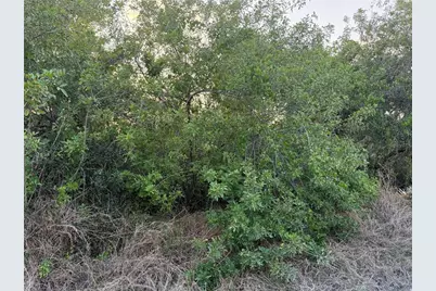 146 Patton Ave, Lake Placid, FL 33852 - Photo 2