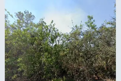 146 Patton Ave, Lake Placid, FL 33852 - Photo 1