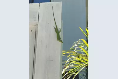 8438 Little Gasparilla Island, Placida, FL 33946 - Photo 18