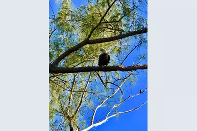 9580 Almirate Court, Placida, FL 33946 - Photo 48