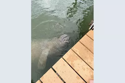 8758 King Street, Placida, FL 33946 - Photo 18