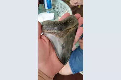 51 Pine Valley Place, Rotonda West, FL 33947 - Photo 34