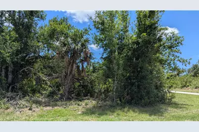 10017 Cocoa Beach Street, Port Charlotte, FL 33981 - Photo 4