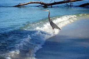 301 S Gulf Blvd, Placida, FL 33946 - Photo 40