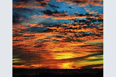 67 Bocilla Drive, Placida, FL 33946 - Photo 18