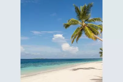 13150 Emerald Road, Placida, FL 33946 - Photo 4