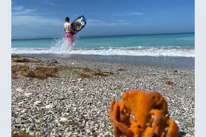 6180 Manasota Key Road #Gulf Side, Englewood, FL 34223 - Photo 6